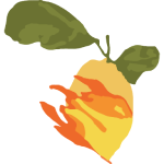 Lemons Clothing